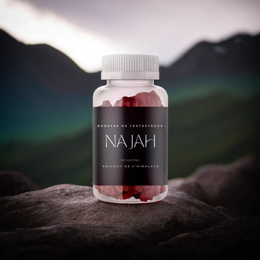 Gummies Shilajit - Najah Nutrition